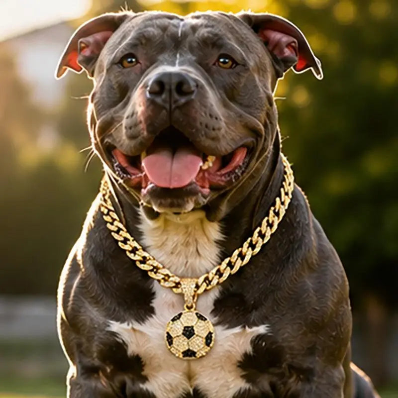 Dog Chain Diamond Collar Walking Metal Chain Necklace with Secure Buckle Pet Cuban Style Collar Jewelry Accessories for Small Medium Large Dog Cats